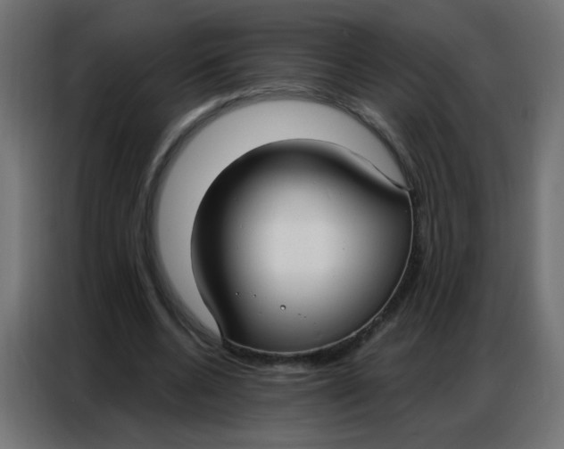 X0000086800536200705041610