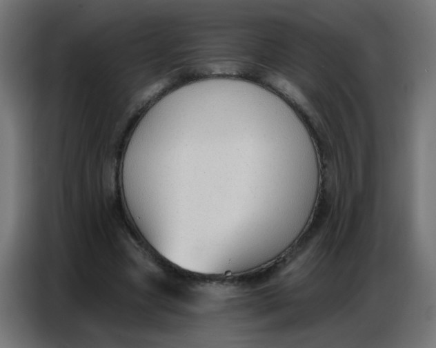 X0000086800537200705041610