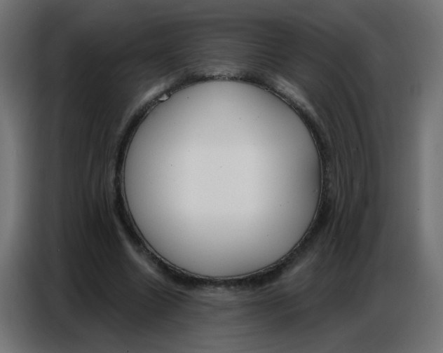 X0000086800538200705041610