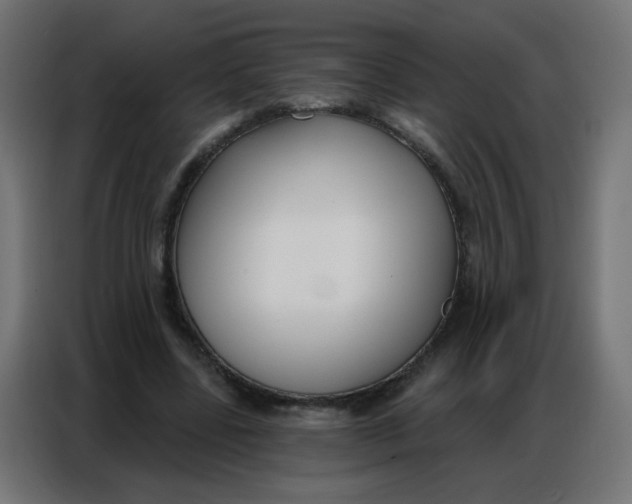 X0000086800539200705041610