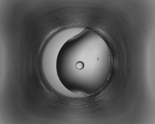 X0000086800540200705041610