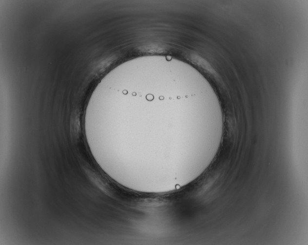 X0000086800541200705041610