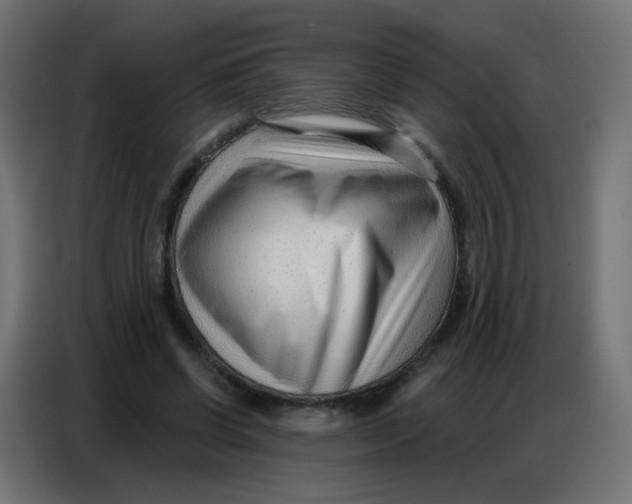 X0000086800542200705041610