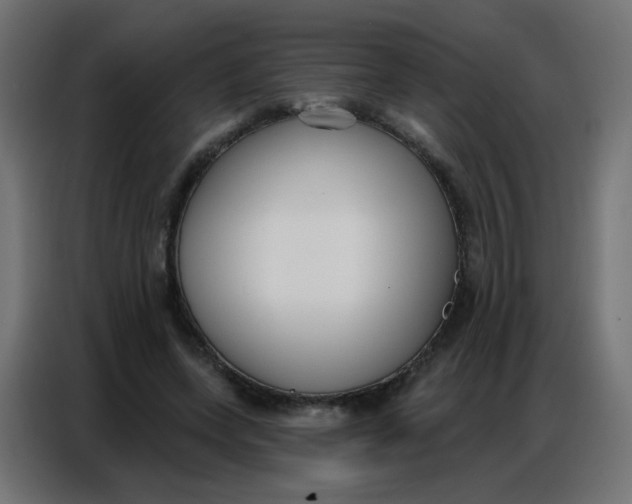 X0000086800543200705041610