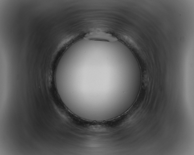 X0000086800544200705041610