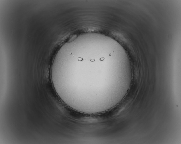 X0000086800545200705041610