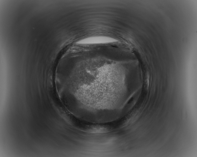 X0000086800547200705041610