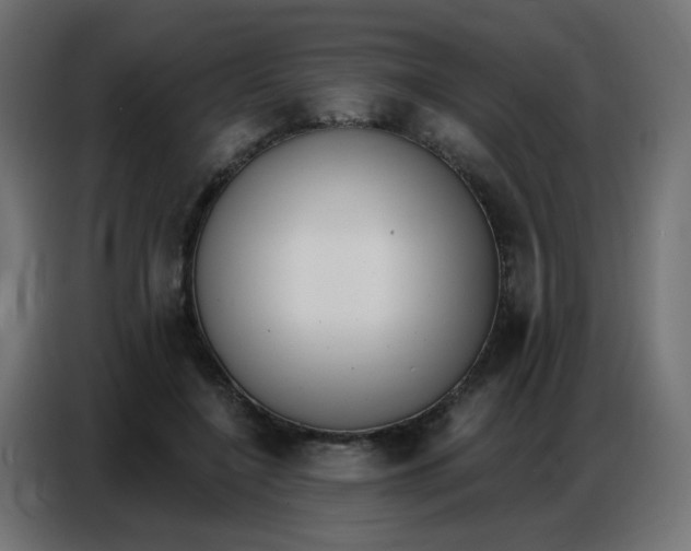 X0000086800548200705041610