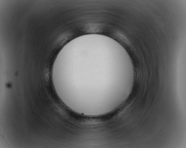 X0000086800549200705041610