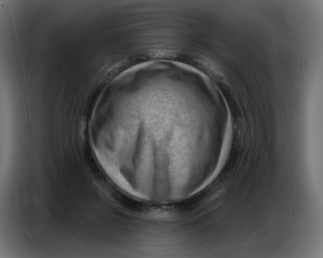 X0000086800550200705041610