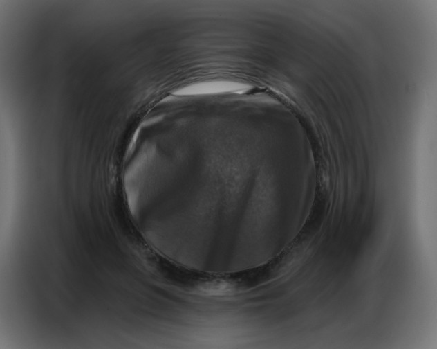 X0000086800551200705041610