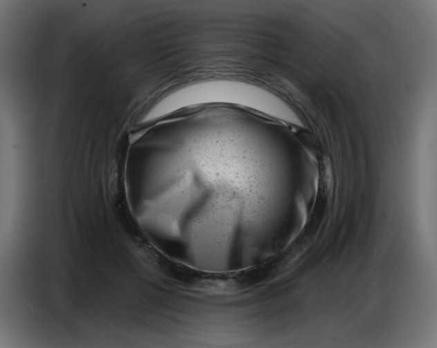 X0000086800552200705041610