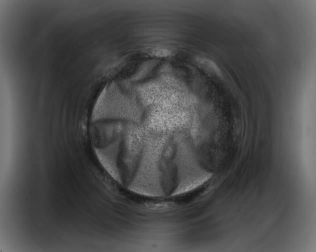 X0000086800553200705041610