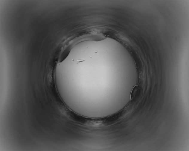 X0000086800554200705041610