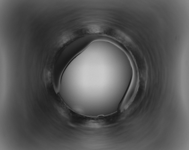 X0000086800556200705041610