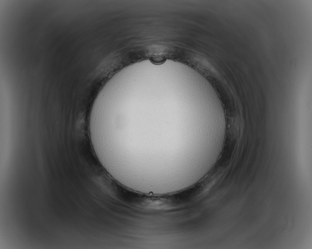 X0000086800557200705041610