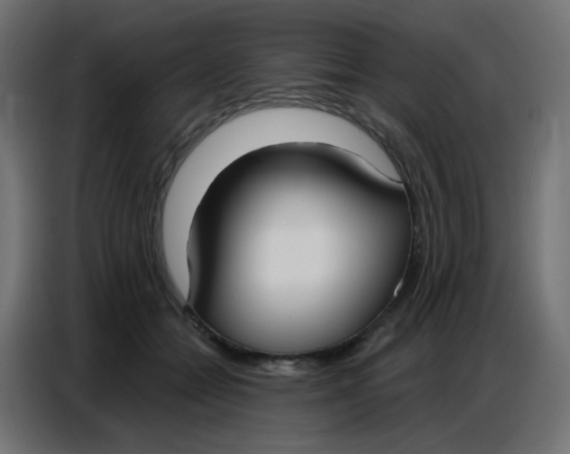 X0000086800558200705041610