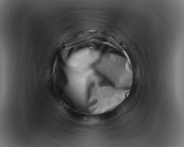 X0000086800559200705041610