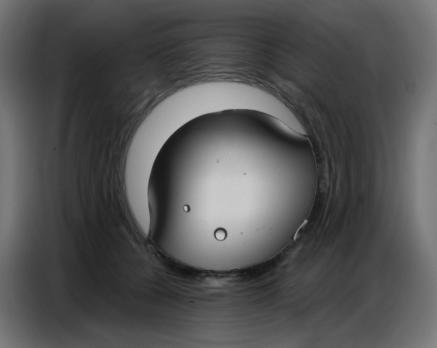 X0000086800560200705041610