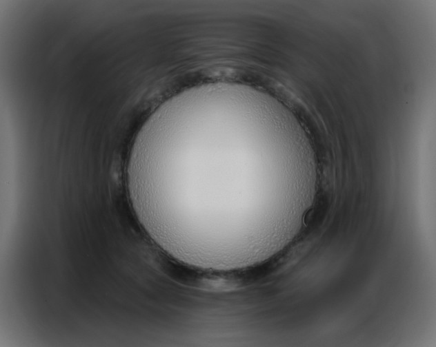 X0000086800561200705041610