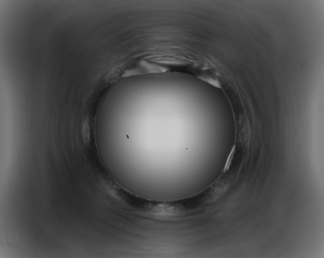 X0000086800562200705041610