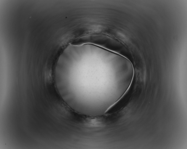 X0000086800564200705041610