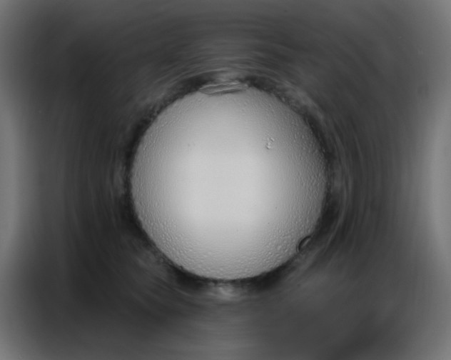 X0000086800565200705041610