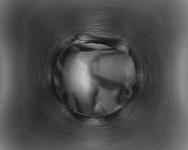 X0000086800566200705041610