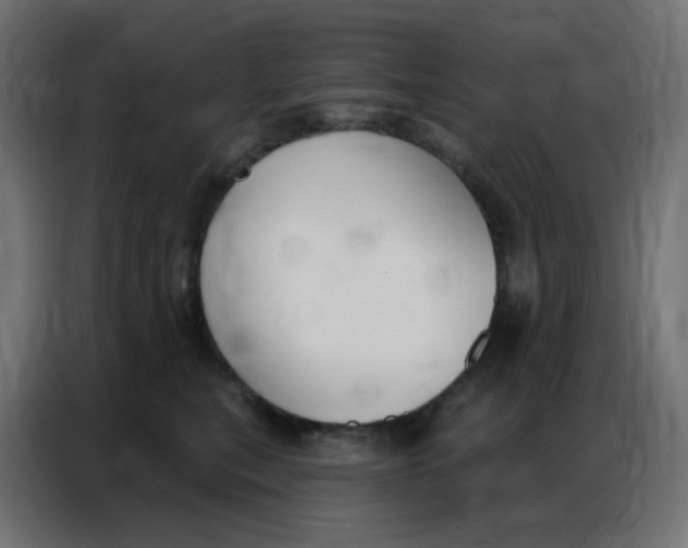 X0000086800567200705041610