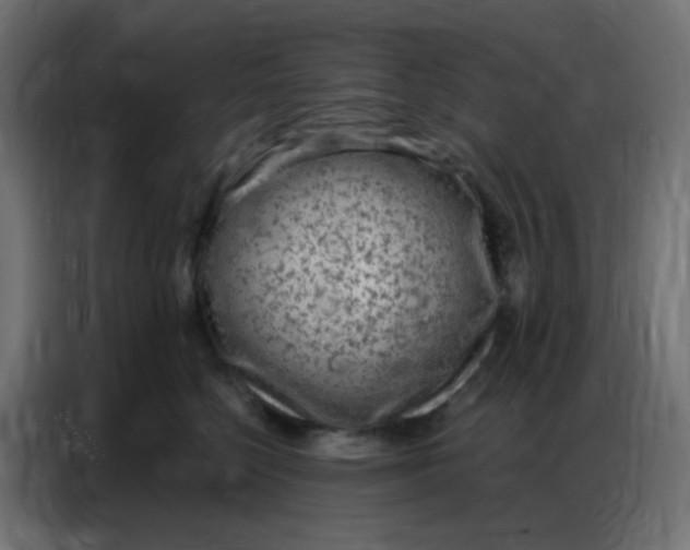 X0000086800568200705041610