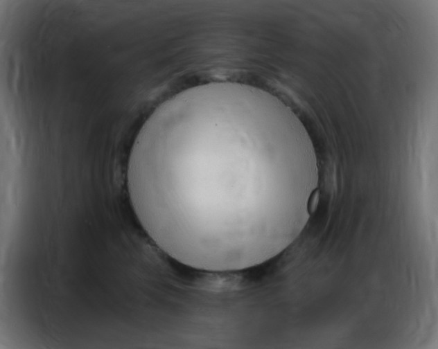 X0000086800569200705041610