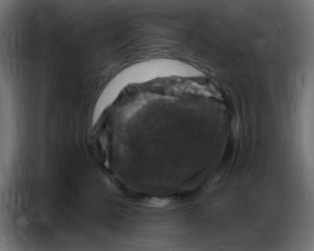 X0000086800570200705041610