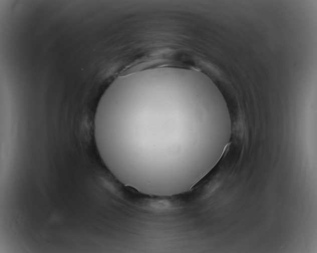 X0000086800572200705041610