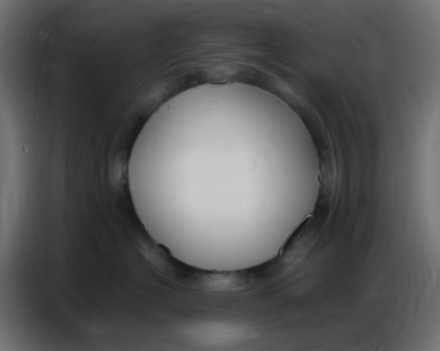 X0000086800574200705041610