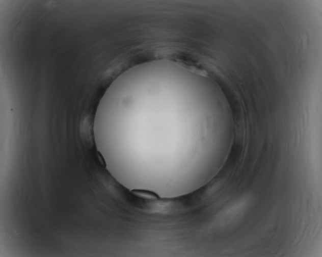 X0000086800575200705041611