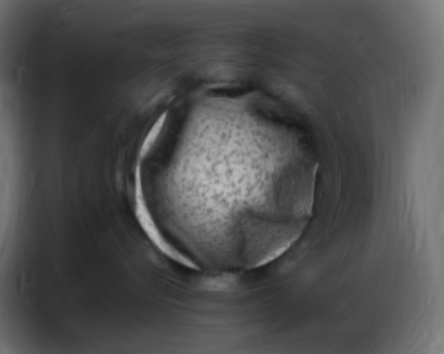 X0000086800576200705041611