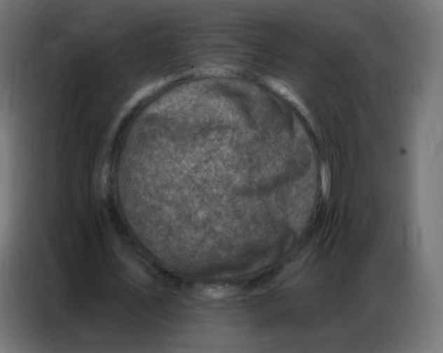 X0000086800579200705041610