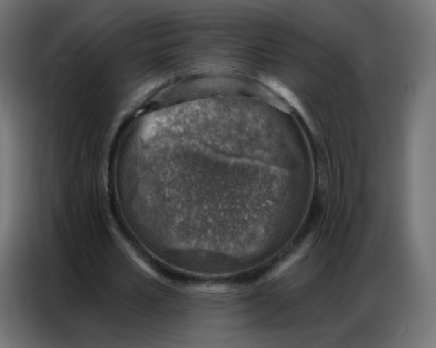 X0000086800581200705041610