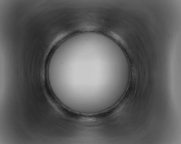 X0000086800582200705041610