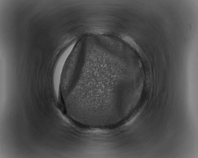 X0000086800585200705041610