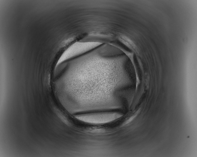 X0000086800589200705041610