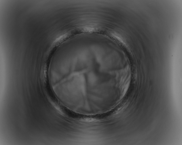 X0000086800590200705041610