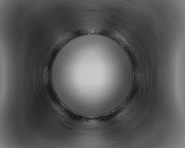 X0000086800594200705041610