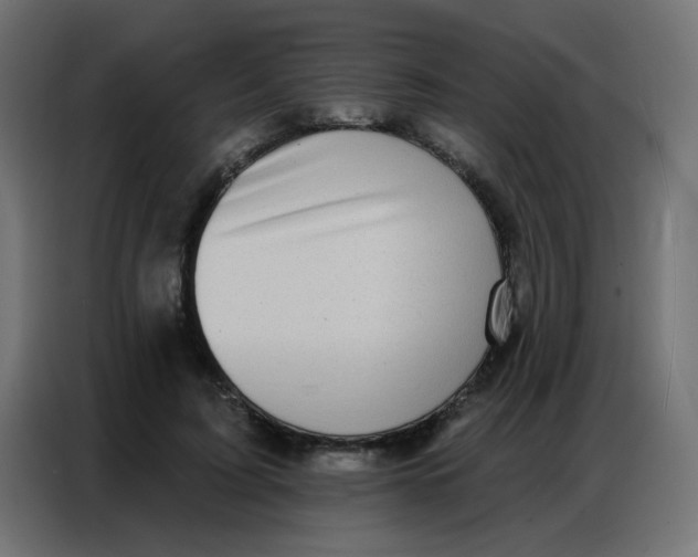 X0000086800595200705041610