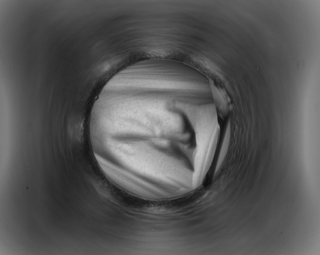 X0000086800596200705041610