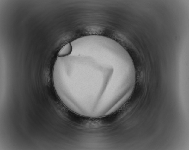 X0000086800599200705041610