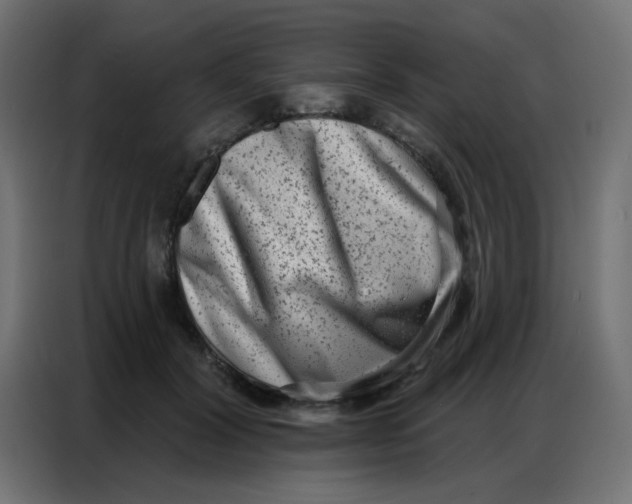 X0000086800604200705041610