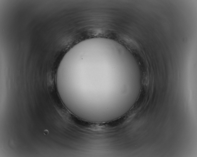 X0000086800607200705041610