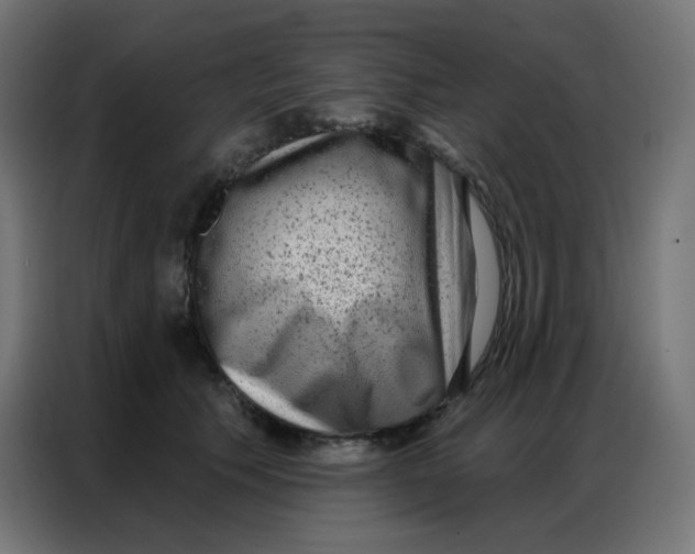 X0000086800609200705041609