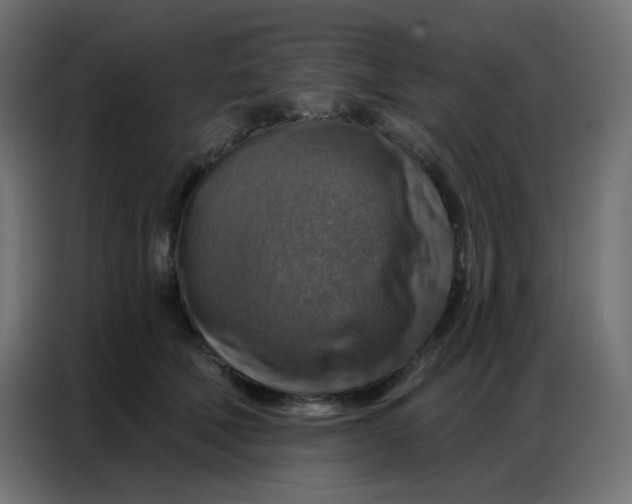 X0000086800610200705041609